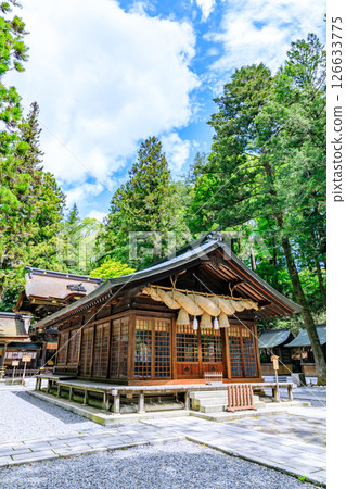 Early summer at Suwa Taisha Shrine, Shimosha, Harumiya, Suwa District, Nagano Prefecture 126633775