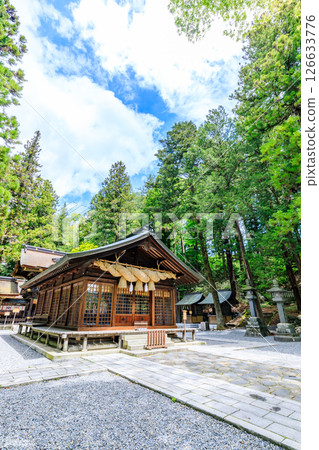 Early summer at Suwa Taisha Shrine, Shimosha, Harumiya, Suwa District, Nagano Prefecture 126633776
