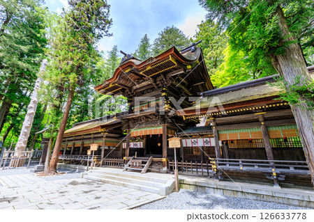 Early summer at Suwa Taisha Shrine, Shimosha, Harumiya, Suwa District, Nagano Prefecture 126633778