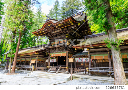 Early summer at Suwa Taisha Shrine, Shimosha, Harumiya, Suwa District, Nagano Prefecture Early summer at Suwa Taisha Shrine, Shimosha, Harumiya, Suwa District, Nagano Prefecture 126633781
