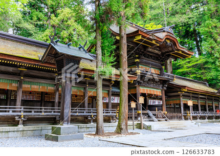 Early summer at Suwa Taisha Shrine, Shimosha, Harumiya, Suwa District, Nagano Prefecture Early summer at Suwa Taisha Shrine, Shimosha, Harumiya, Suwa District, Nagano Prefecture 126633783