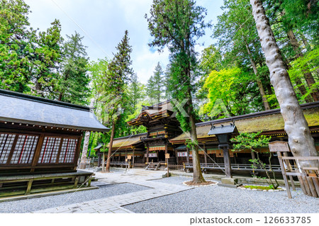Early summer at Suwa Taisha Shrine, Shimosha, Harumiya, Suwa District, Nagano Prefecture 126633785
