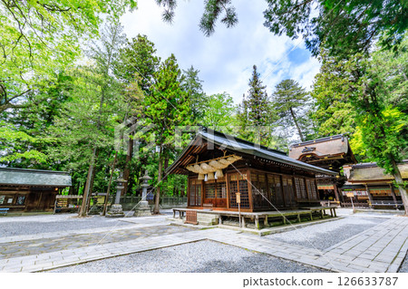 Early summer at Suwa Taisha Shrine, Shimosha, Harumiya, Suwa District, Nagano Prefecture Early summer at Suwa Taisha Shrine, Shimosha, Harumiya, Suwa District, Nagano Prefecture 126633787