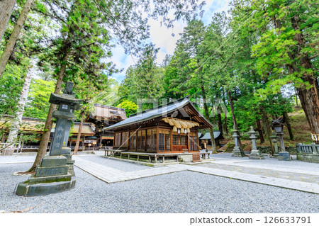 Early summer at Suwa Taisha Shrine, Shimosha, Harumiya, Suwa District, Nagano Prefecture 126633791