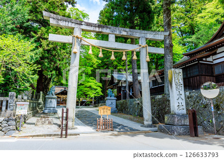 Early summer at Suwa Taisha Shrine, Shimosha, Harumiya, Suwa District, Nagano Prefecture 126633793