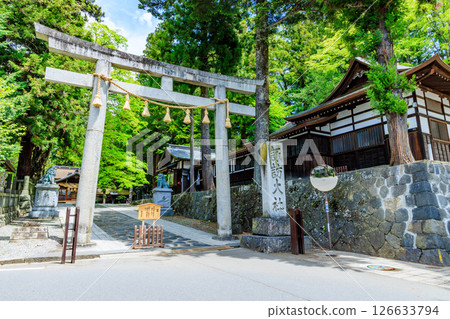 Early summer at Suwa Taisha Shrine, Shimosha, Harumiya, Suwa District, Nagano Prefecture 126633794