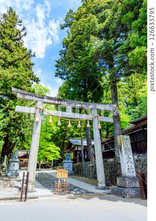 Early summer at Suwa Taisha Shrine, Shimosha, Harumiya, Suwa District, Nagano Prefecture 126633795