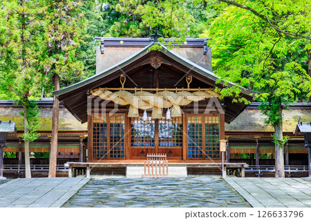 Early summer at Suwa Taisha Shrine, Shimosha, Harumiya, Suwa District, Nagano Prefecture 126633796