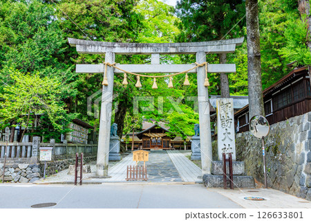 Early summer at Suwa Taisha Shrine, Shimosha, Harumiya, Suwa District, Nagano Prefecture 126633801