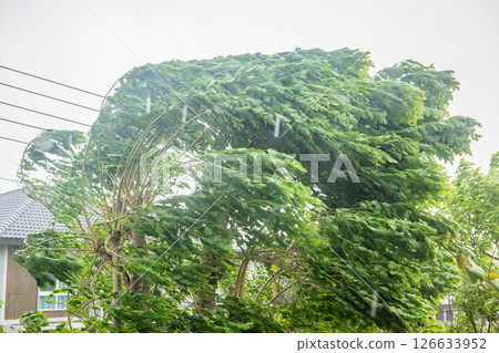 storm with heavy rain and strong winds 126633952