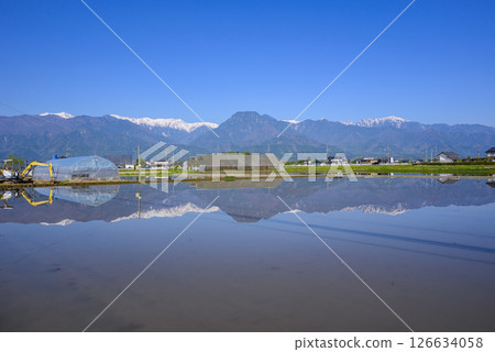 Paddy fields and the Northern Alps [Ikeda-cho, Kitaazumi-gun] 126634058
