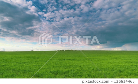 A Vast Green Field Stretching Beneath a Dramatic Cloudy Sky Awaits Your Discovery Time lapse. A Vast Green Field Stretching Beneath a Dramatic Cloudy Sky Awaits Your Discovery Time lapse. 126634463