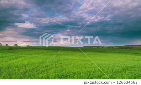 An Expansive Green Field Sprawls Beneath a Dramatic and Overcast Cloudy Sky Above It Time lapse. 126634562