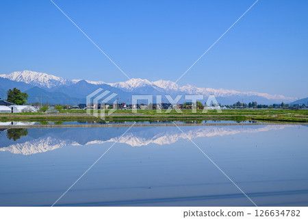 Northern Alps and paddy fields [Ikeda-cho, Kitaazumi-gun] 126634782