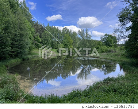 Beautiful aerial view of Moletai region, famous or its lakes. Scenic summer evening landscape, Moletai, Lithuania 126635785