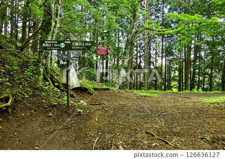 Kiridoshi Pass on Mount Takasashi, the border ridge of the Tanzawa region Kiridoshi Pass on Mount Takasashi, the border ridge of the Tanzawa region 126636127