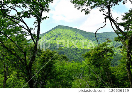 View of the large rocks in summer from Mount Takasashi in the Tanzawa Mountains View of the large rocks in summer from Mount Takasashi in the Tanzawa Mountains 126636129