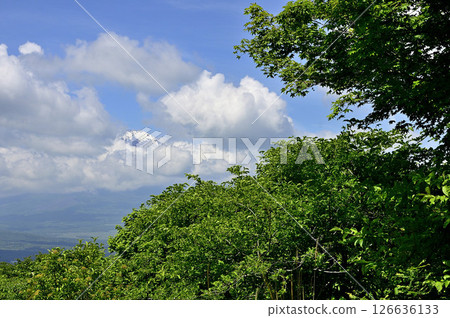 Mount Fuji in the clouds from Mount Takasashi in the Tanzawa Mountains 126636133