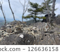 Cairns on the hiking trail to Mt. Daibosatsu 126636158