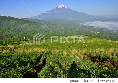 View of Mt. Fuji in early summer from Teppokinoto (Myojinyama) in Tanzawa View of Mt. Fuji in early summer from Teppokinoto (Myojinyama) in Tanzawa 126636359