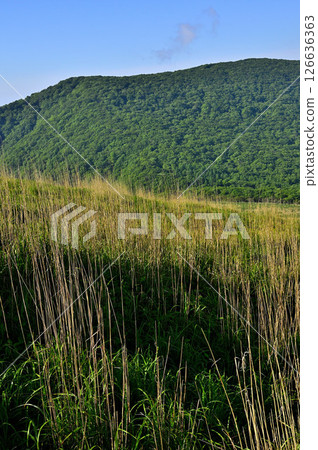 從丹澤的鐵板山（明神山）眺望三國山脊 126636363