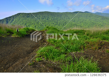 從丹澤的鐵板山（明神山）山頂眺望三國山脊 126636375
