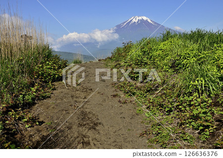 夏季從甲州邊境山脊路看到的富士山丹澤明神山頂 夏季從甲州邊境山脊路看到的富士山丹澤明神山頂 126636376