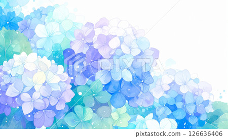 繡球 繡球 126636406