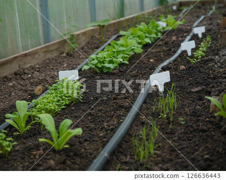 white empty sign next to the seedlings of plants on black soil side view 126636443