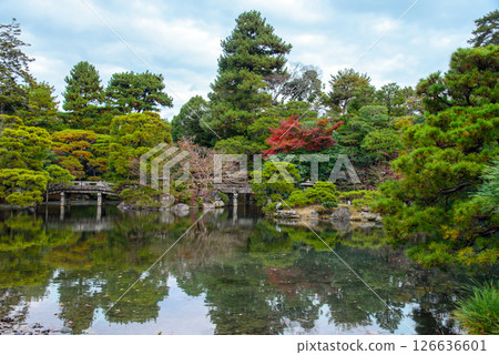 京都御所池庭的石橋 126636601