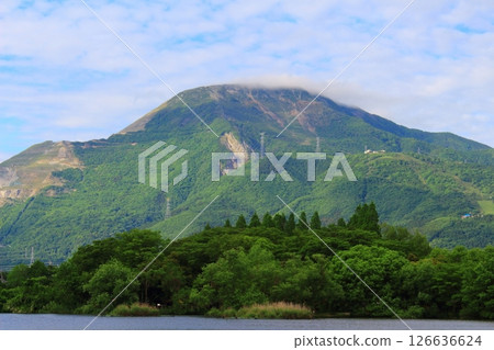 Fresh greenery on Mt. Ibuki 126636624