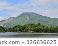 Fresh greenery on Mt. Ibuki 126636625