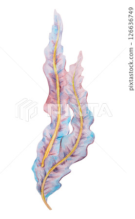 Watercolor illustration of wavy seaweed leaves in soft shades of blue, purple and yellow. Ideal for ocean-themed designs, botanical marine prints, nature studies, or underwater compositions. 126636749