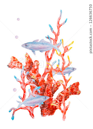Watercolor illustration of vibrant red coral branches with small blue fish and air bubbles. Underwater marine scene perfect for sea-themed designs, prints, and ocean-related projects. Watercolor illustration of vibrant red coral branches with small blue fish and air bubbles. Underwater marine scene perfect for sea-themed designs, prints, and ocean-related projects. 126636750