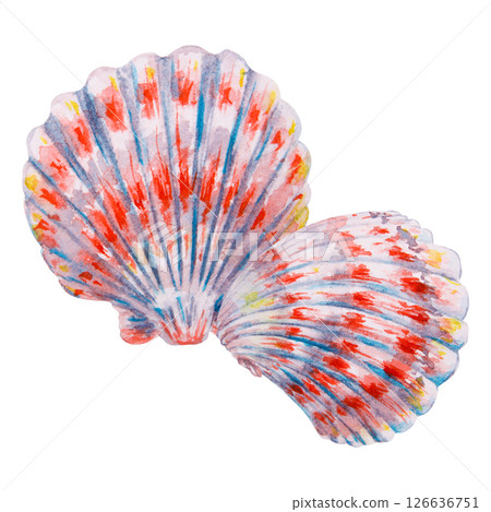 Two colorful scallop seashells painted in watercolor with vibrant red, blue, and yellow details. Artistic marine-themed illustration, suitable for summer, sea life, and beach designs. Two colorful scallop seashells painted in watercolor with vibrant red, blue, and yellow details. Artistic marine-themed illustration, suitable for summer, sea life, and beach designs. 126636751