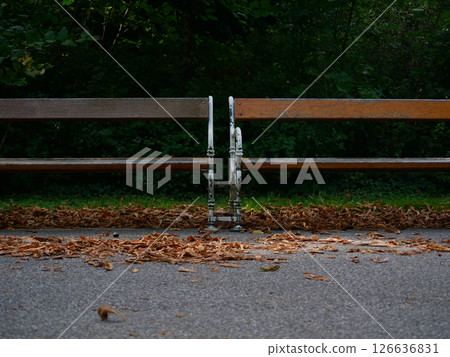 Two benches close up. Autumn colored fallen leaves lie on the ground. Park Turkenschanzpark in Vienna in autumn 126636831