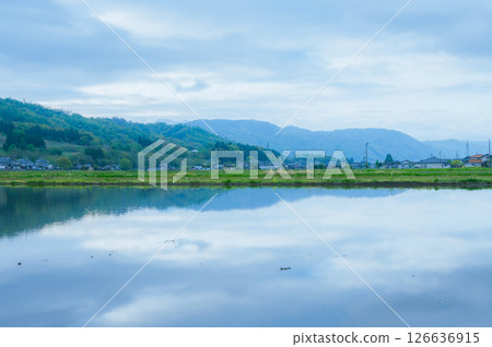 A dreamlike morning 126636915