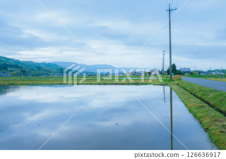 A dreamlike morning 126636917