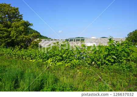 晚春的當別水壩 126637032