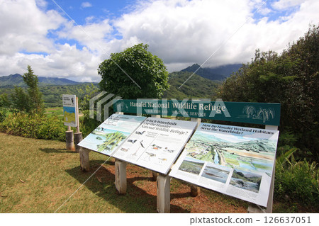 Hanalei Valley Lookout, Kauai 126637051