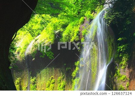 Yufu River Valley in summer (Yufu City/Beppu City) 126637124