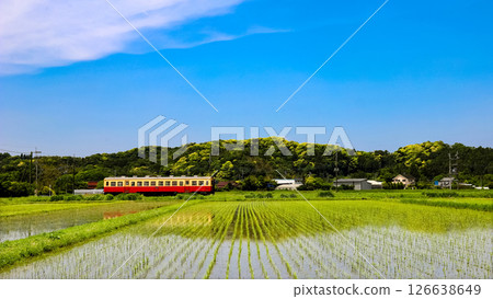 初夏時節，火車穿梭於鄉村 126638649