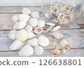 Shells lined up on a wooden deck 126638801