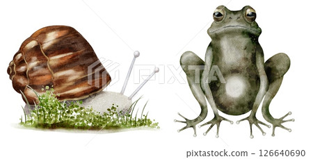 Frog and snail in a serene marshland setting with vibrant greenery and delicate features Frog and snail in a serene marshland setting with vibrant greenery and delicate features 126640690