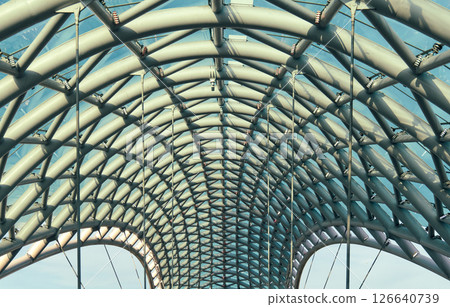 Architectural design features roof grid structure. High quality photo 126640739