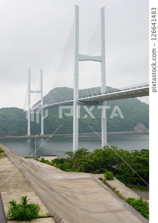 Venus Wing 126641483