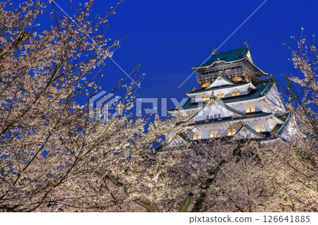 大阪城櫻花燈飾(大阪府大阪市中央區) 大阪城櫻花燈飾(大阪府大阪市中央區) 126641885