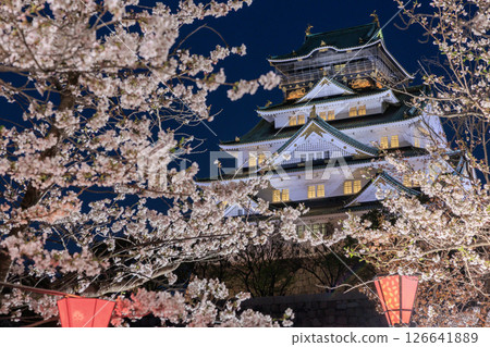 大阪城櫻花燈飾(大阪府大阪市中央區) 大阪城櫻花燈飾(大阪府大阪市中央區) 126641889