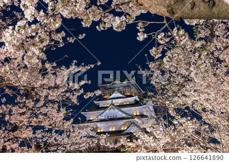 Illumination of cherry blossoms at Osaka Castle (Chuo-ku, Osaka City, Osaka Prefecture) 126641890