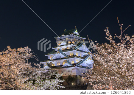 Illumination of cherry blossoms at Osaka Castle (Chuo-ku, Osaka City, Osaka Prefecture) Illumination of cherry blossoms at Osaka Castle (Chuo-ku, Osaka City, Osaka Prefecture) 126641893